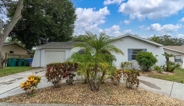 Renovated Centrally located w/Free Onsite Parking in Palm Harbor
