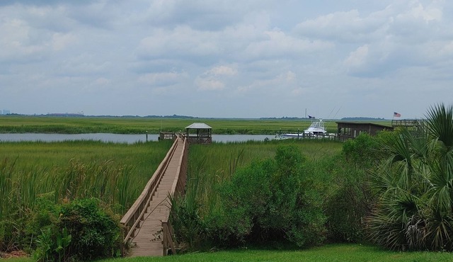 SAVANNAH GA ISLAND COASTAL COTTAGE PRIVATE DOCK FISHING GROUPS, SIGHTSEERS