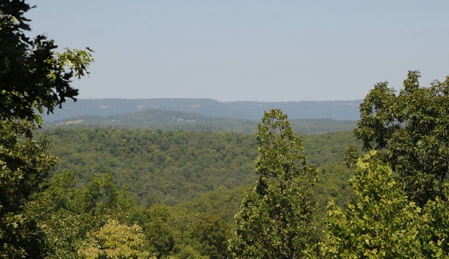 Secluded Mountain Cabin on 50 acres, 5 miles to Buffalo River