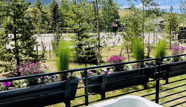 Silverthorne Retreat with Mtn Views, Private Saltwater Hot Tub, King Bed & Bidet in Silverthorne