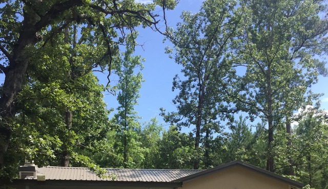 South Toledo Bend 2 Bedroom House (Pirates Cove) Outdoor Shower & Shuffleboard! in Florien
