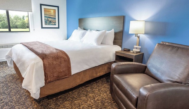 Spacious Room w/Kitchen, Pet-Friendly & Free Parking for Extended & Short Stays