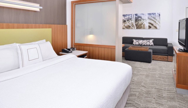 SpringHill Suites by Marriott Ashburn Dulles North in Ashburn