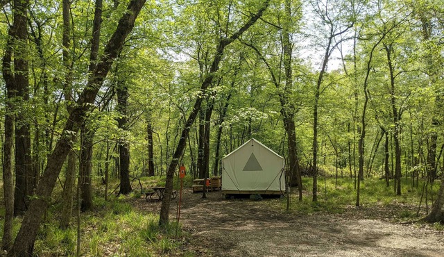 Tentrr State Park Site - Louisiana Chicot State Park - Site A - Single Camp in Ville Platte