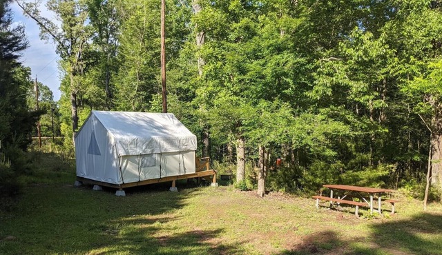 Tentrr State Park Site - Louisiana Chicot State Park - Site D - Single Camp in Ville Platte