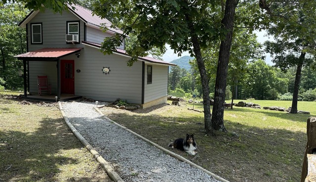 The Cabin at Tall Pine Grove