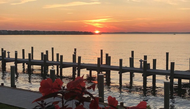 Thunder Island Bayfront Condo - Walk to Beach - next to Convention Center