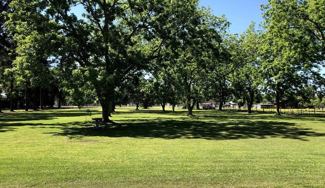 Tiny Home on 3 park like acres in New Iberia, LA