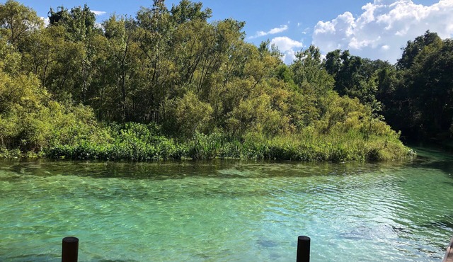 Weeki Wachee MAIN RIVER in Spring Hill