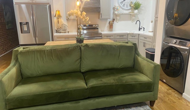 Welcome to The Wild Fern, a beautiful 2-bedroom loft in downtown Hamburg.
