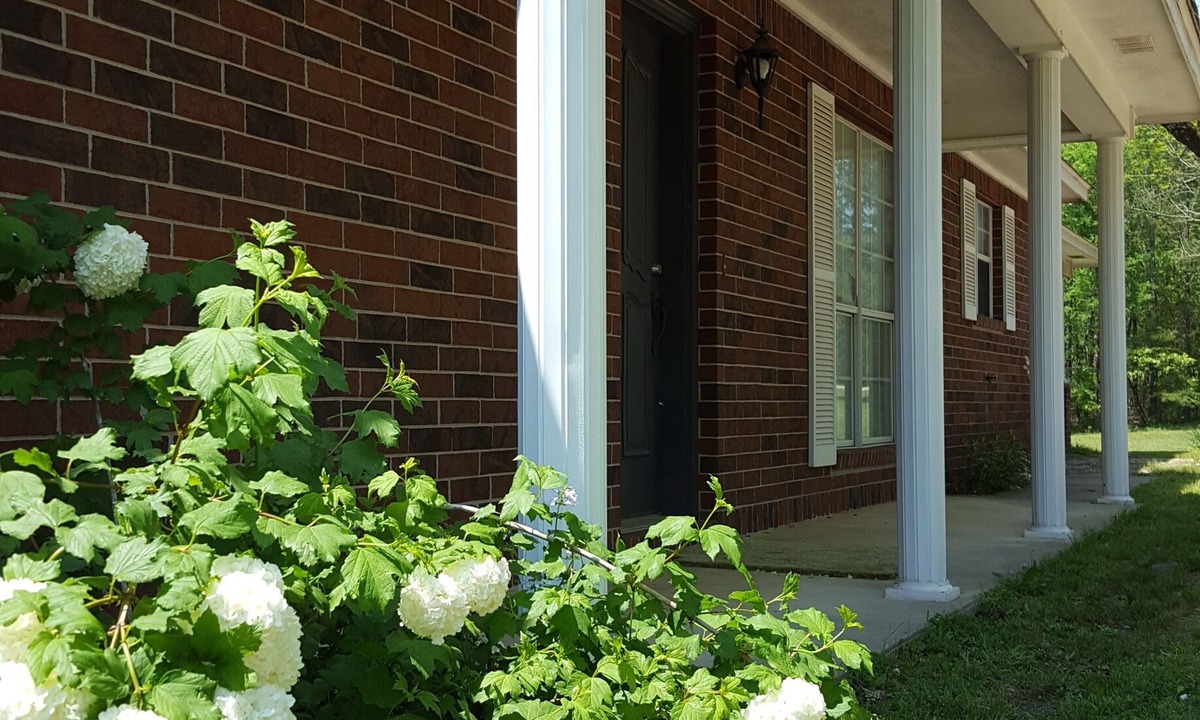 Story House | Backyard splendor!