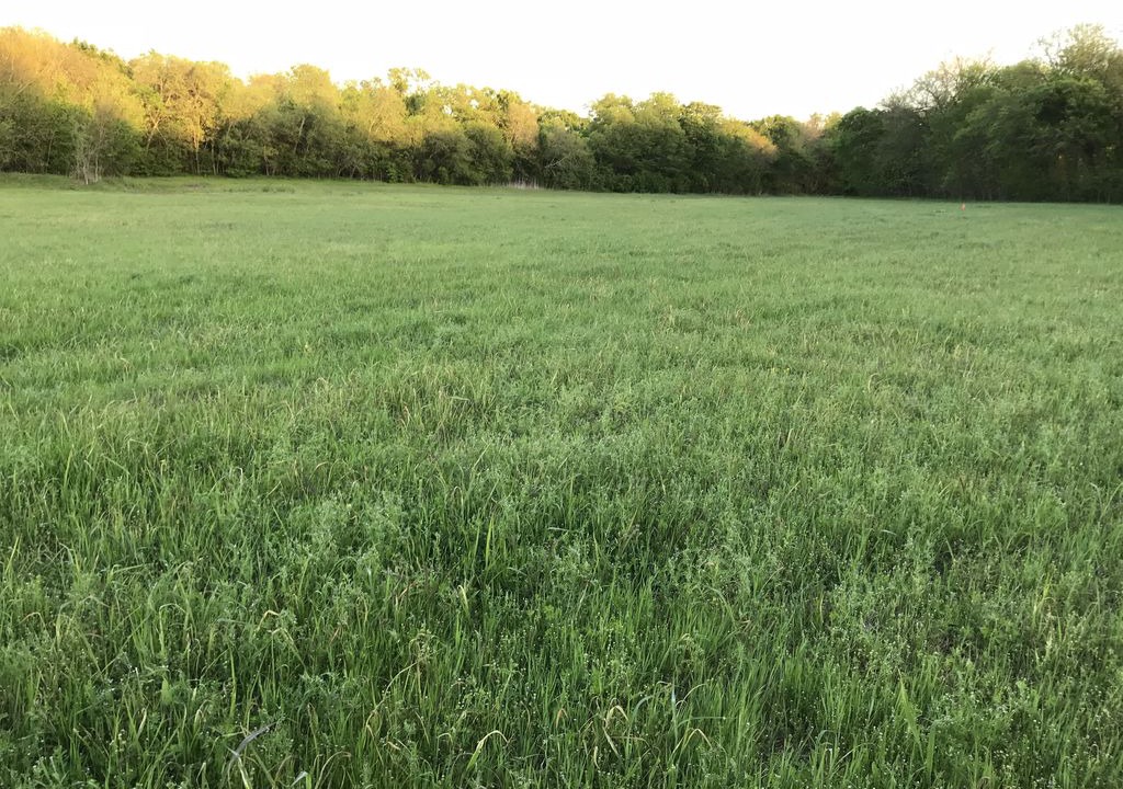 Photo of Outdoor in Palmetto Dunes