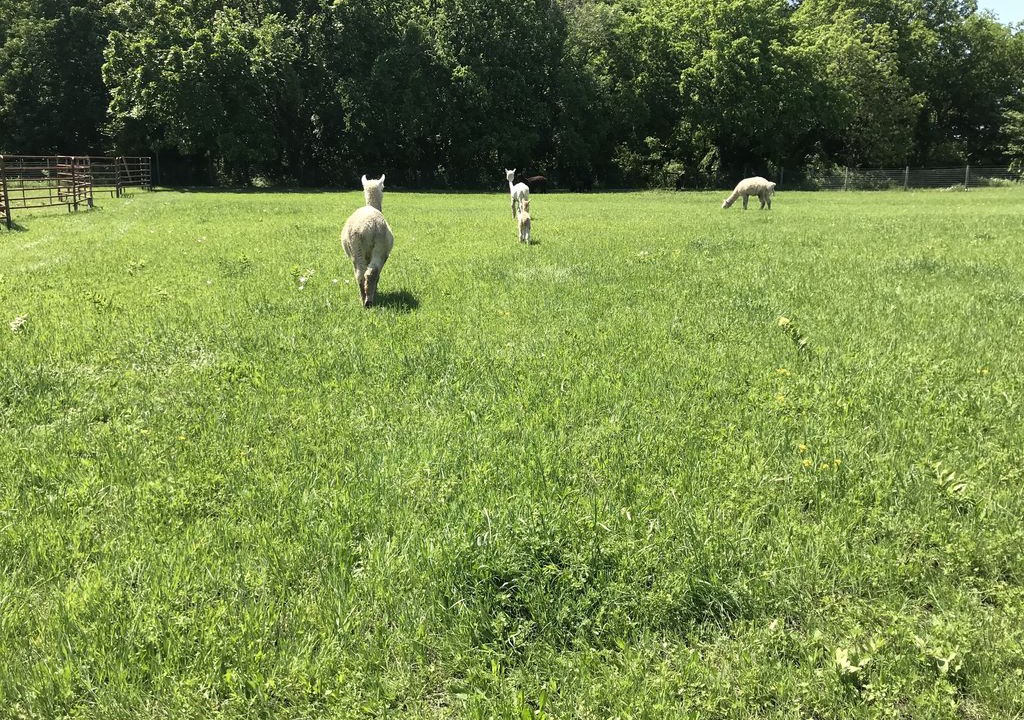 Photo of Others in Palmetto Dunes