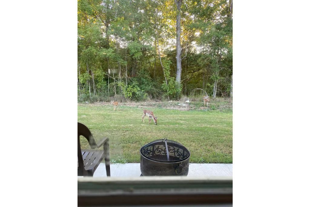 Photo of Outdoor in Tupelo