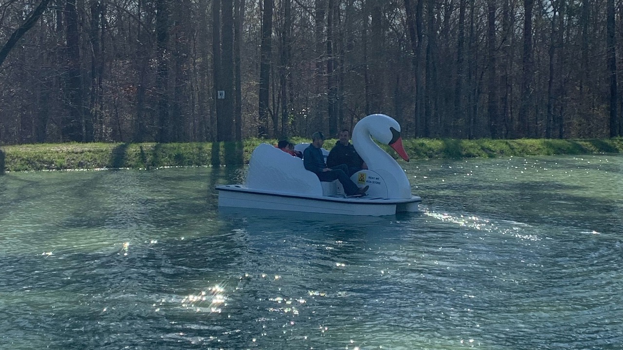 Photo of Others in Shreveport