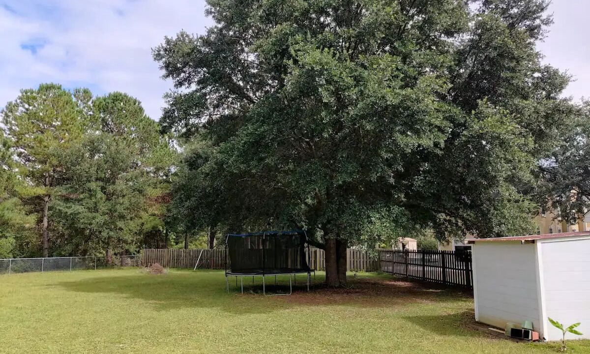 Photo of Outdoor in Bluffton