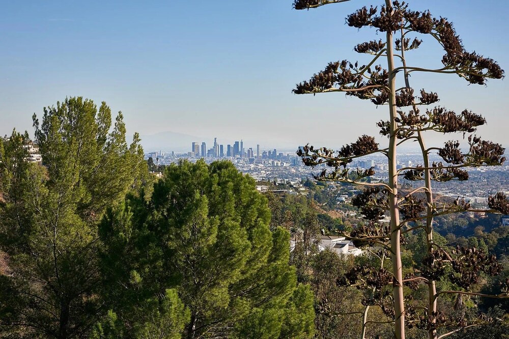 Photo of Others in Hollywood Hills West