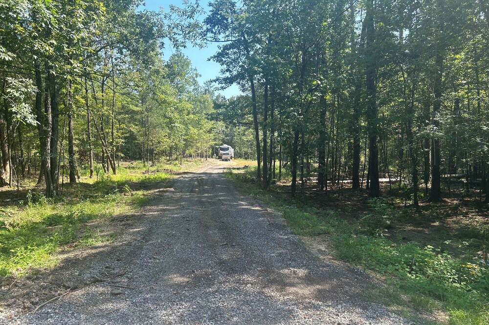 Photo of Outdoor in Starkville