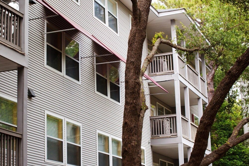 Photo of Outdoor in Palmetto Dunes