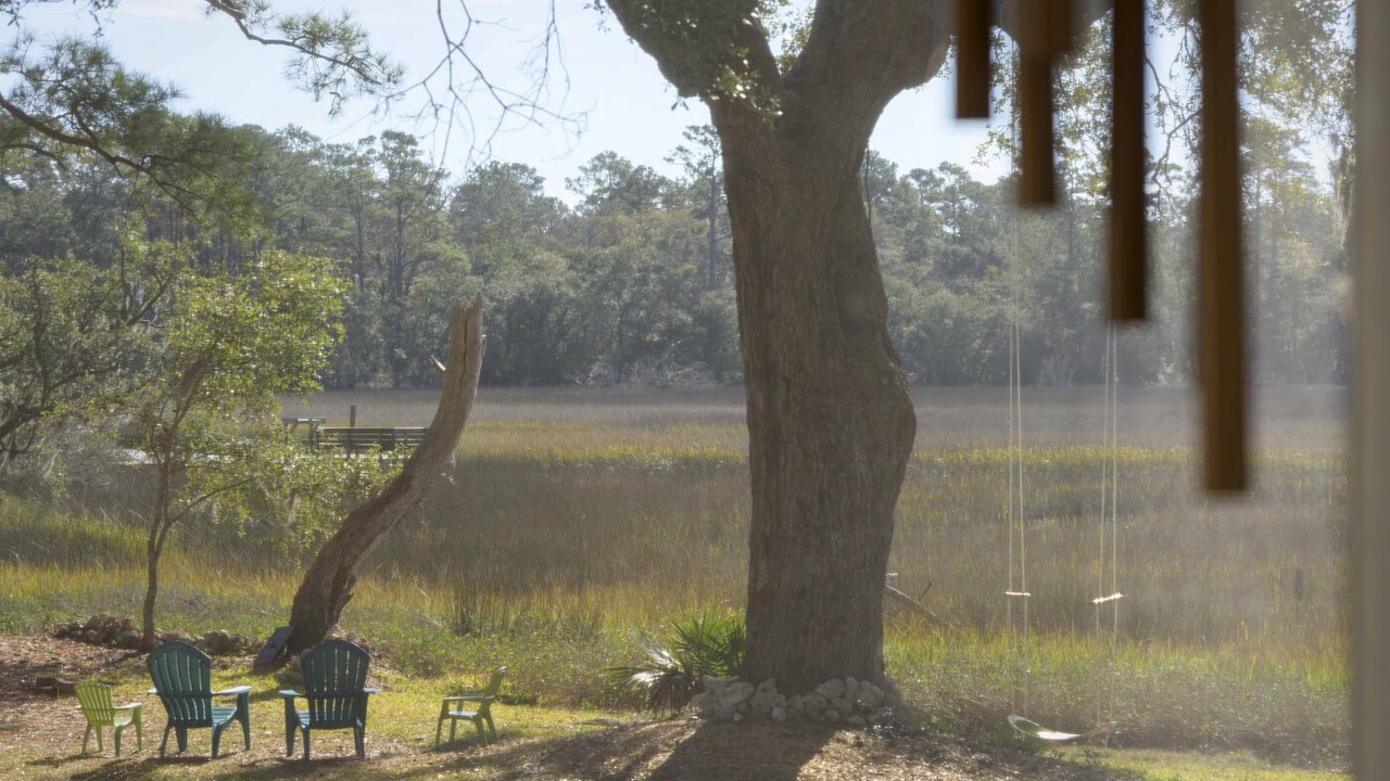 Photo of Outdoor in Edisto Island