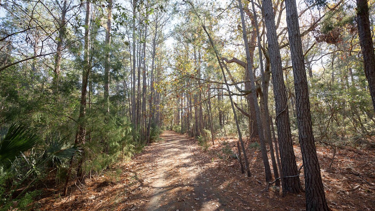 Photo of Outdoor in Edisto Island
