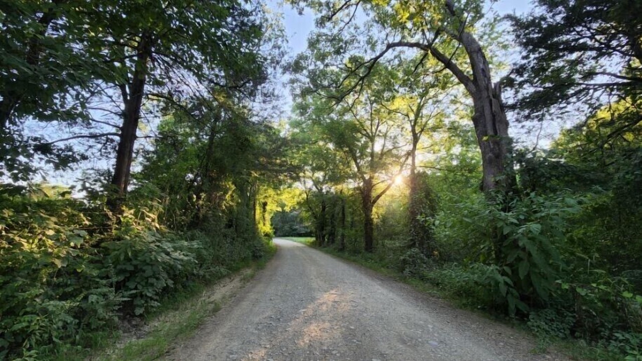 Photo of Outdoor in Board Camp