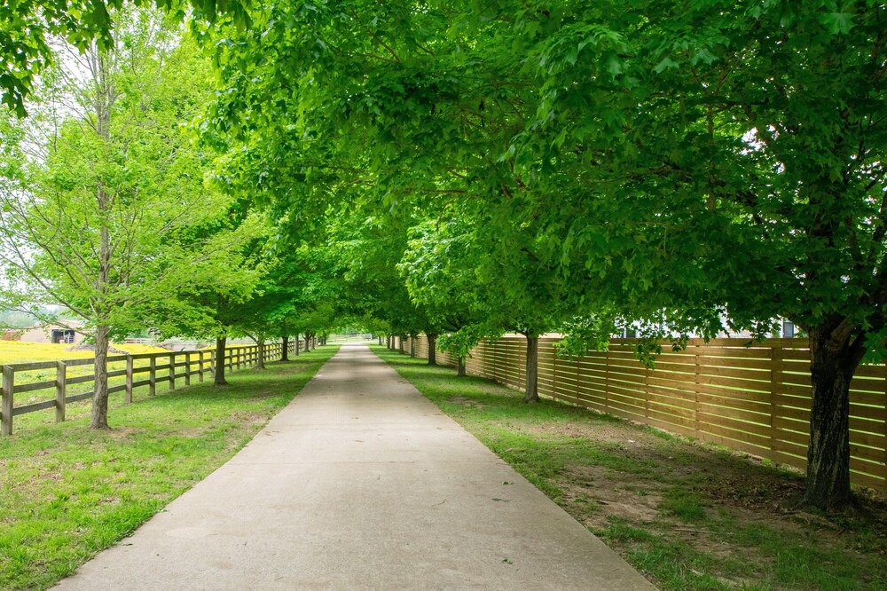 Photo of Outdoor in Benton County