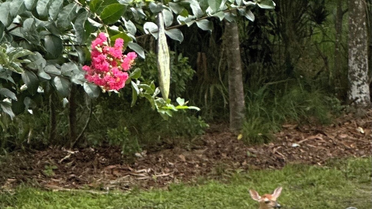 Photo of Outdoor in Port Royal