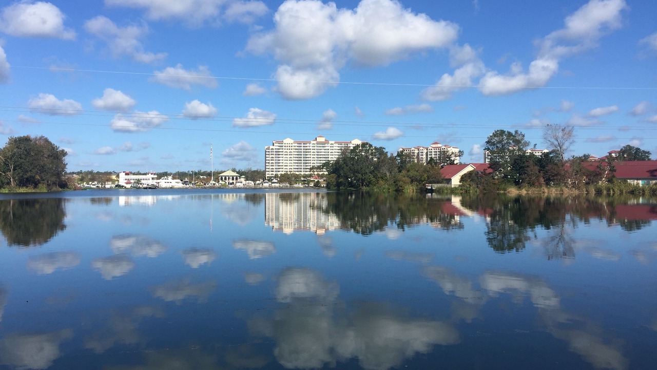 Photo of Outdoor in Palmetto Dunes