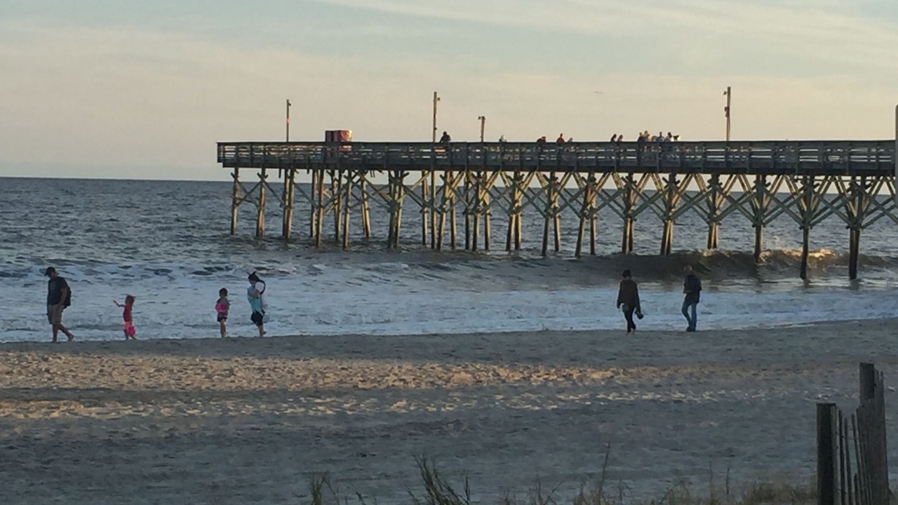 Photo of Others in Palmetto Dunes