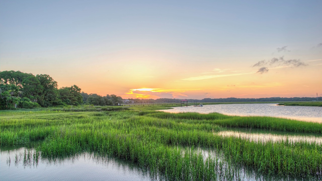 Photo of Others in Hilton Head Island