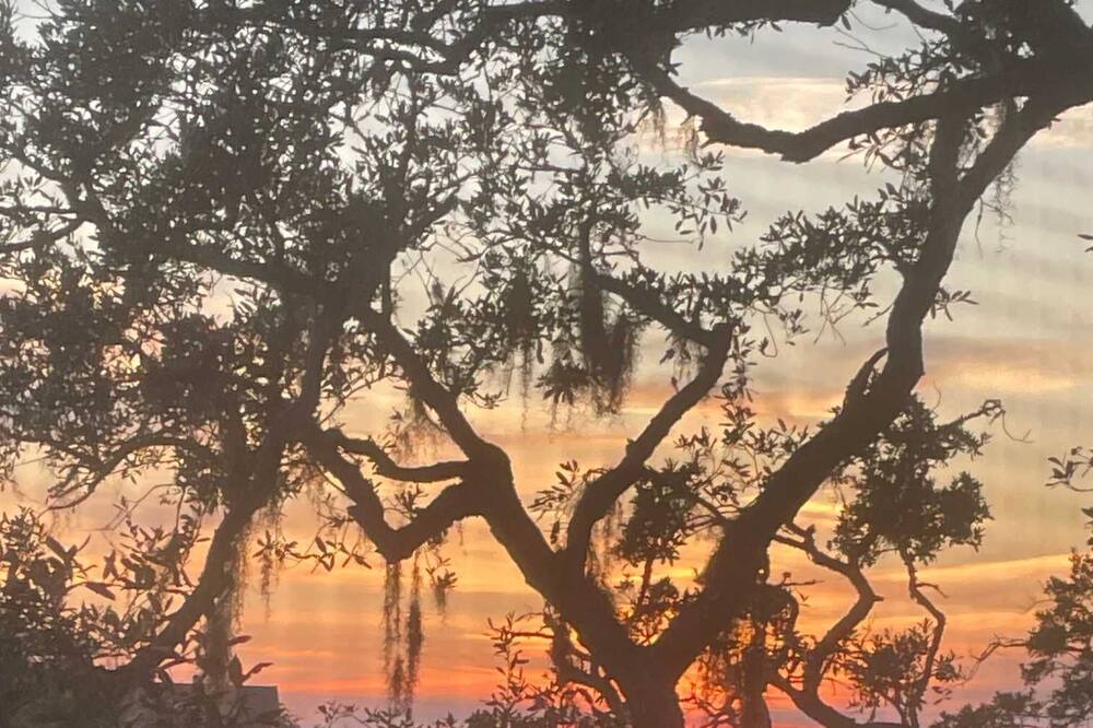 Photo of Outdoor in Seabrook Island