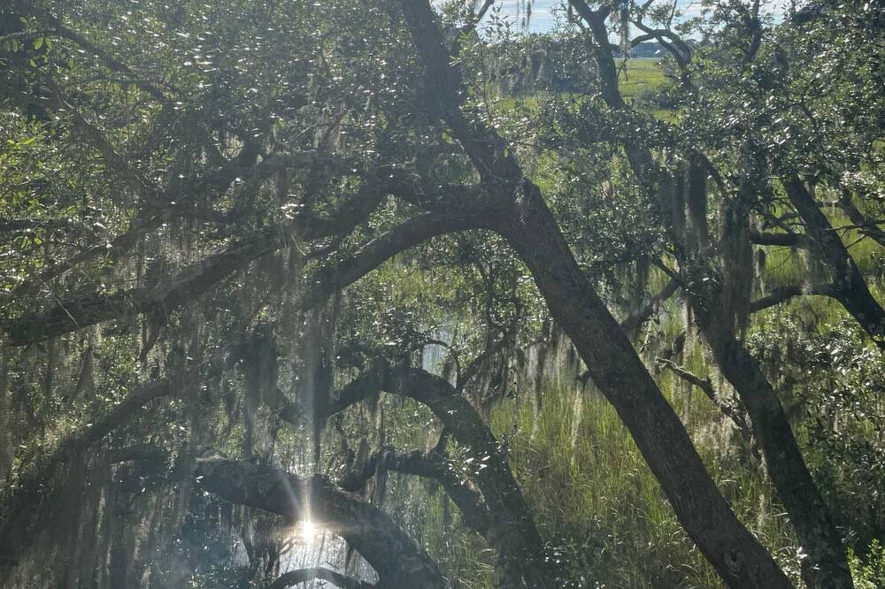 Photo of Outdoor in Seabrook Island