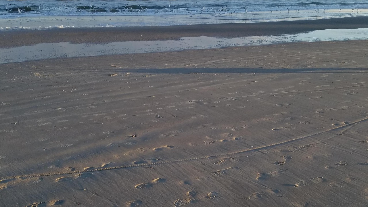Photo of Others in Isle of Palms