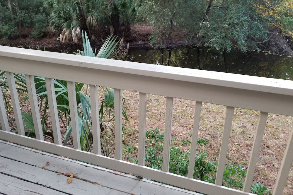 Photo of Outdoor in Night Heron