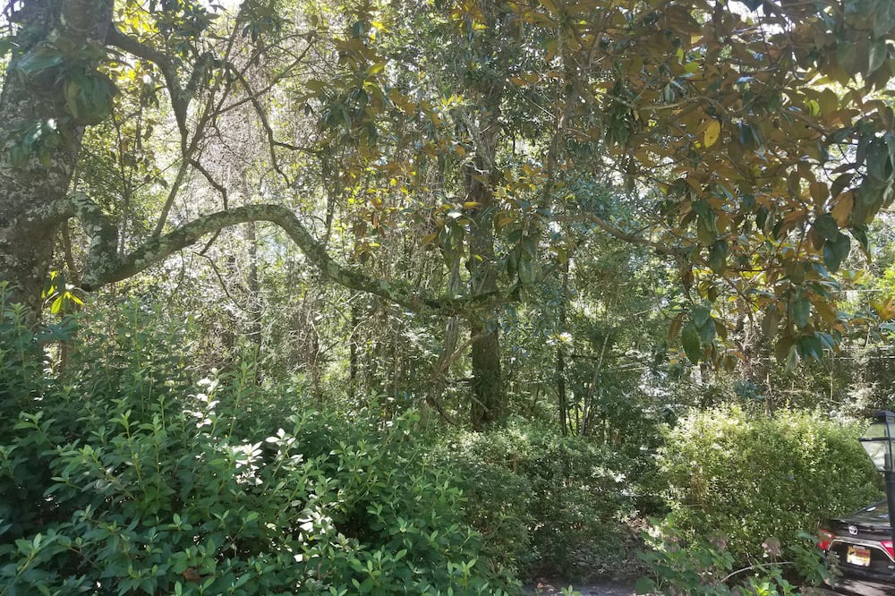 Photo of Outdoor in Summerville Historic District