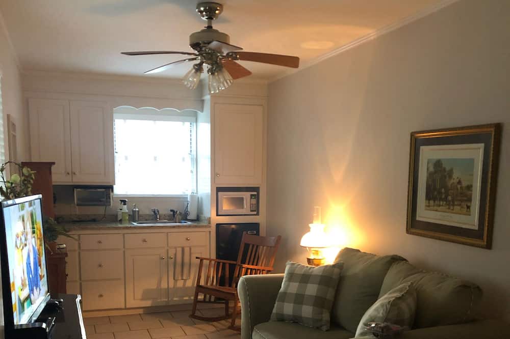 Photo of Livingroom in Summerville Historic District