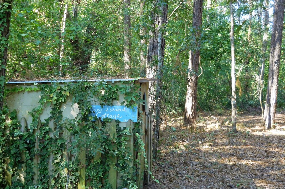 Photo of Outdoor in Edisto Island