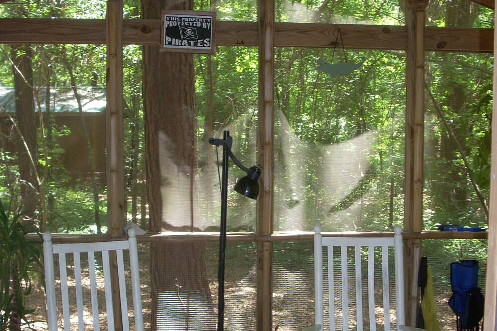 Photo of Others in Edisto Island
