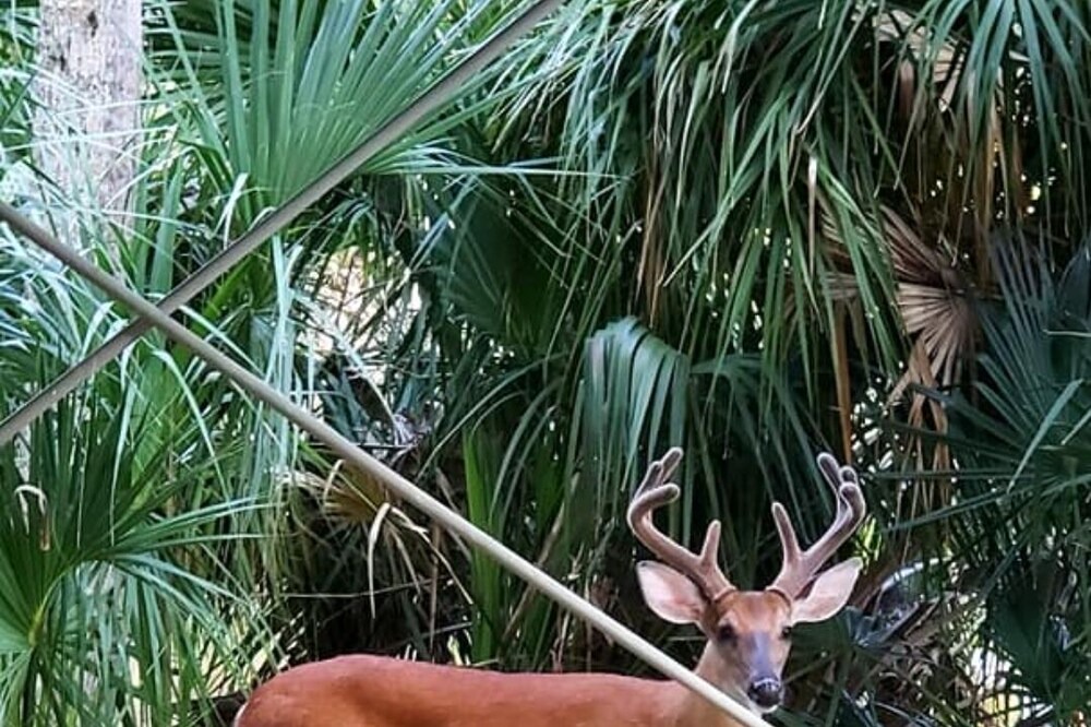 Photo of Others in Ocean Ridge