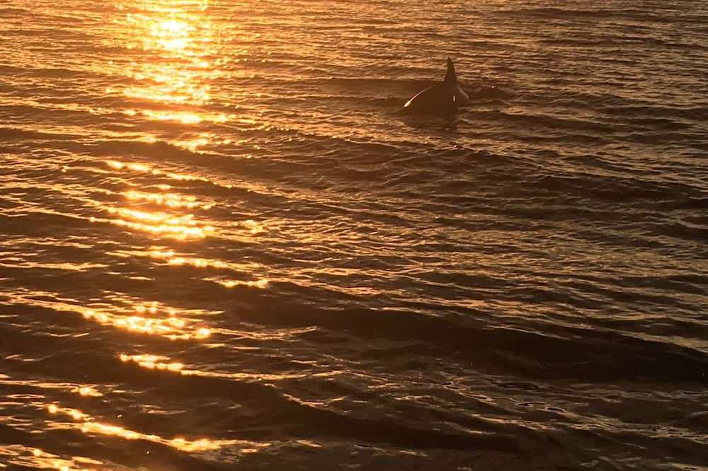 Photo of Others in South Beach