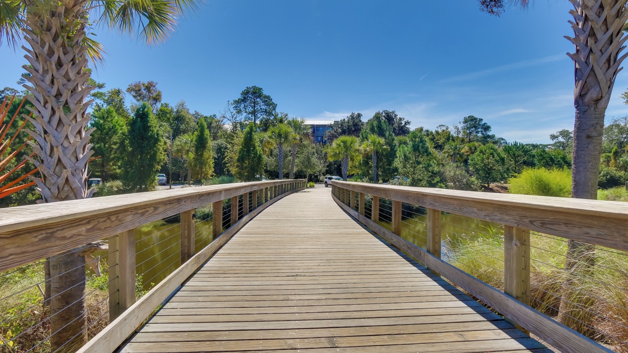 Photo of Others in North Forest Beach