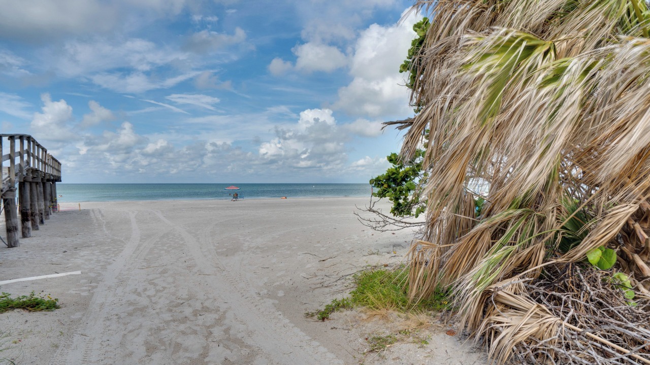 Photo of Others in Redington Shores
