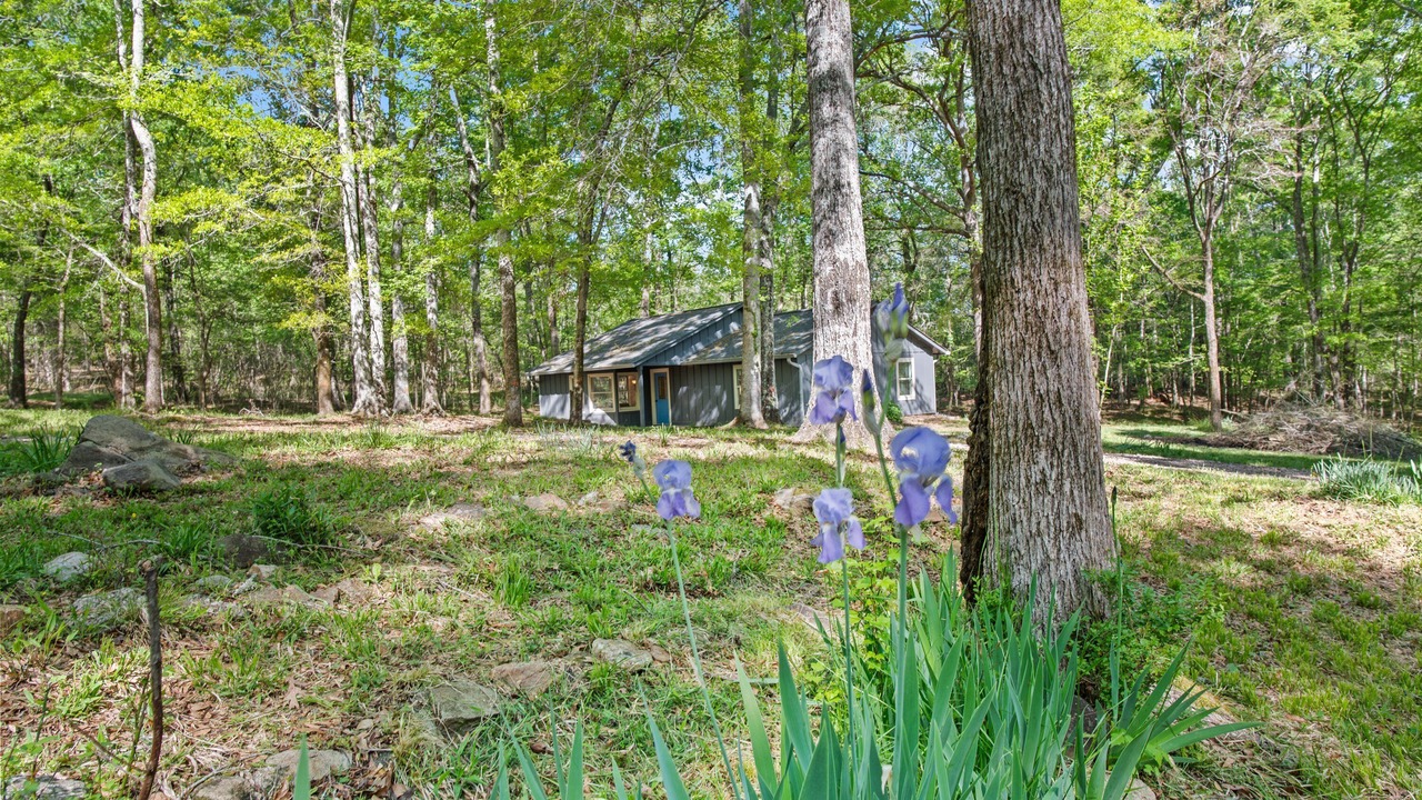Photo of Outdoor in Farmington