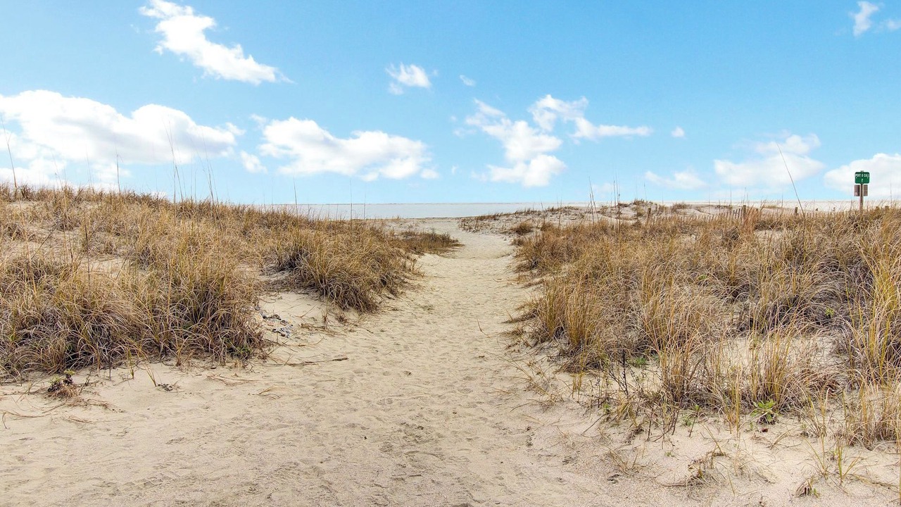 Photo of Others in Isle of Palms