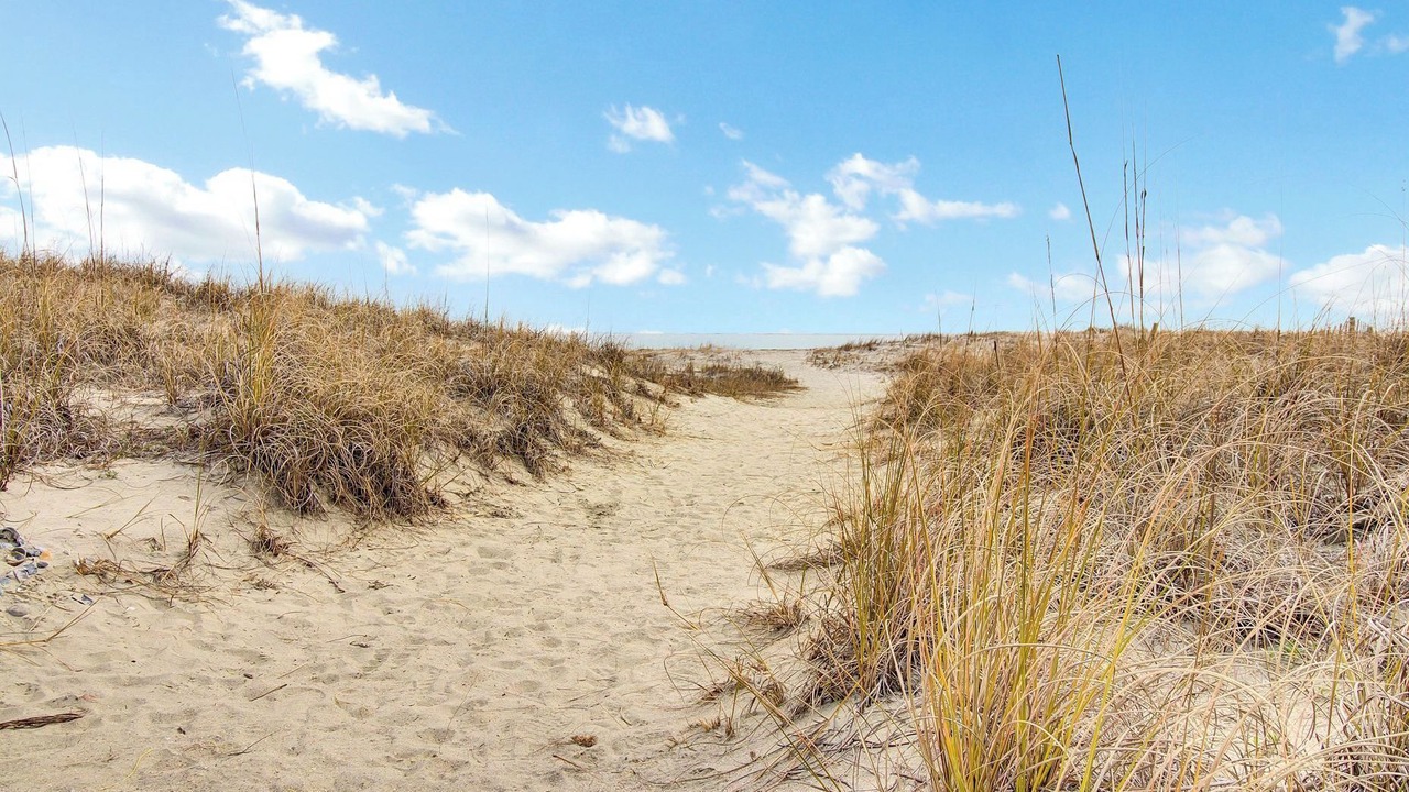 Photo of Others in Isle of Palms