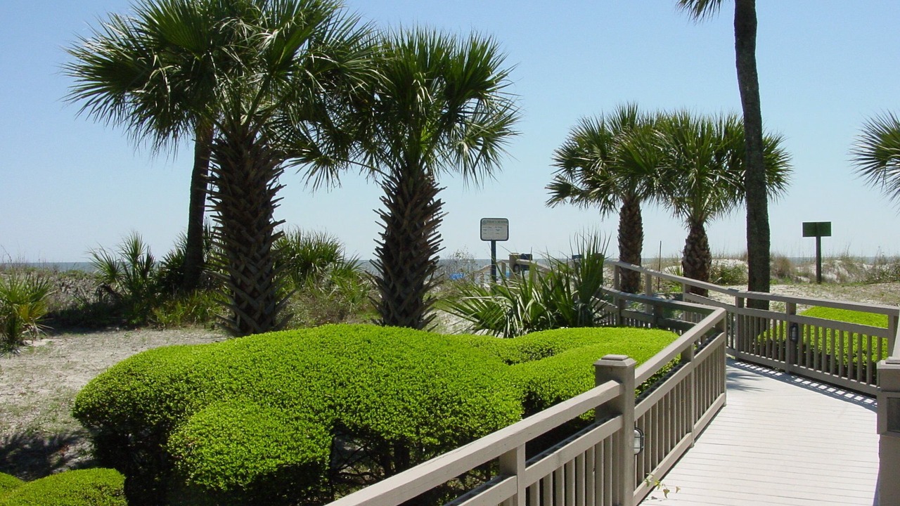 Photo of Others in Palmetto Dunes