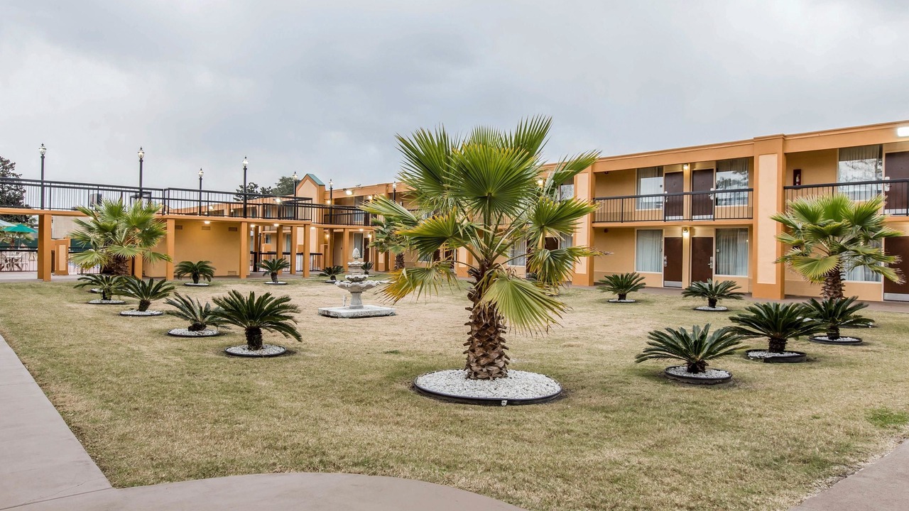 Photo of Outdoor in Savannah