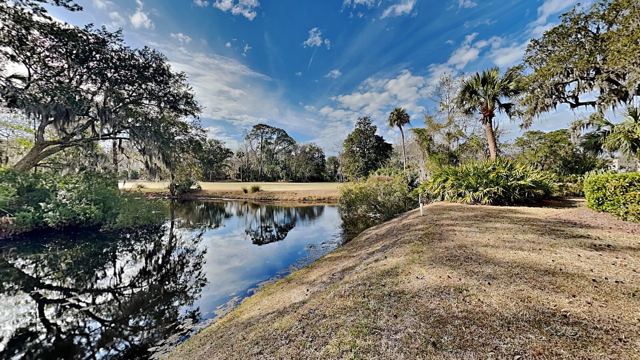 Photo of Outdoor in Shipyard Plantation