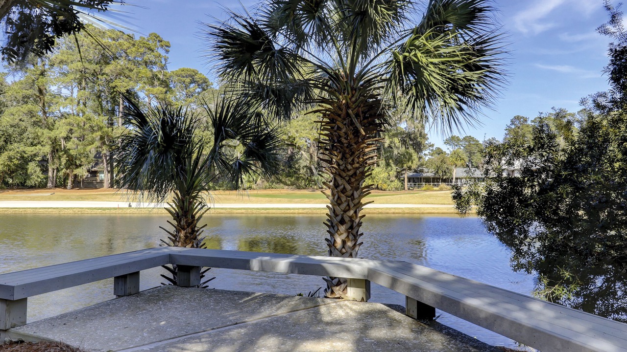 Photo of Outdoor in Shipyard Plantation